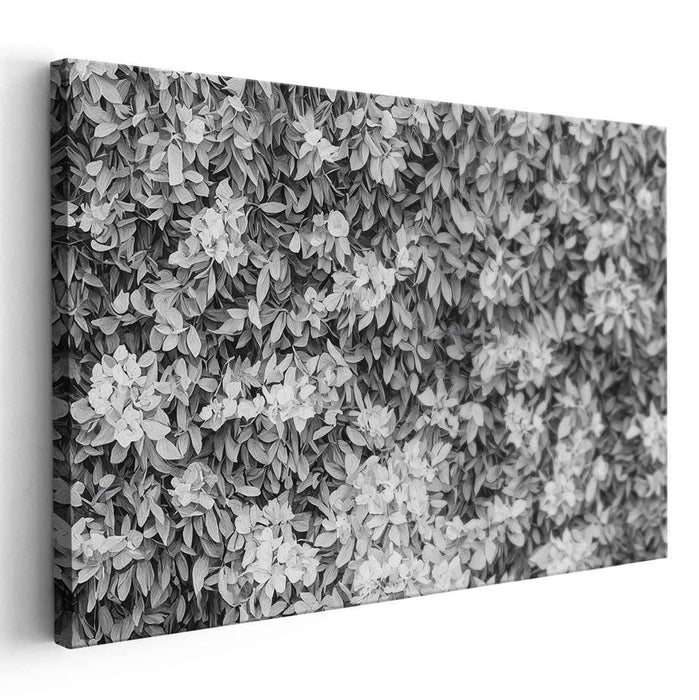 Floral Complexity: Intricate Botanical Black and White Canvas Art Print