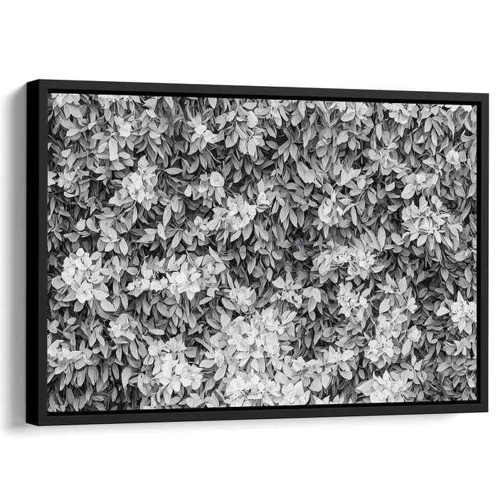 Floral Complexity: Intricate Botanical Black and White Canvas Art Print