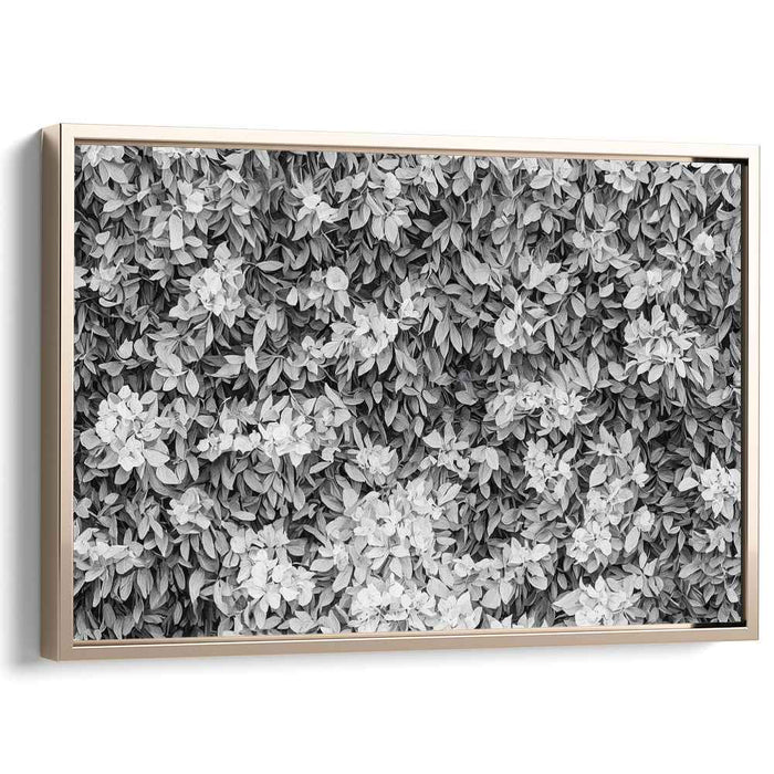 Floral Complexity: Intricate Botanical Black and White Canvas Art Print