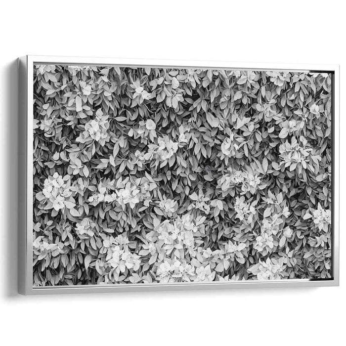 Floral Complexity: Intricate Botanical Black and White Canvas Art Print