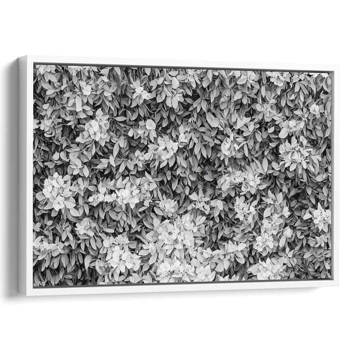 Floral Complexity: Intricate Botanical Black and White Canvas Art Print