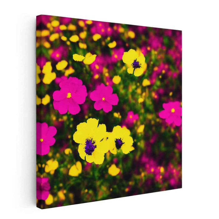 Sunlit Petals Dance Wildly: Vibrant Yellow and Magenta Blossoms Canvas Art Print