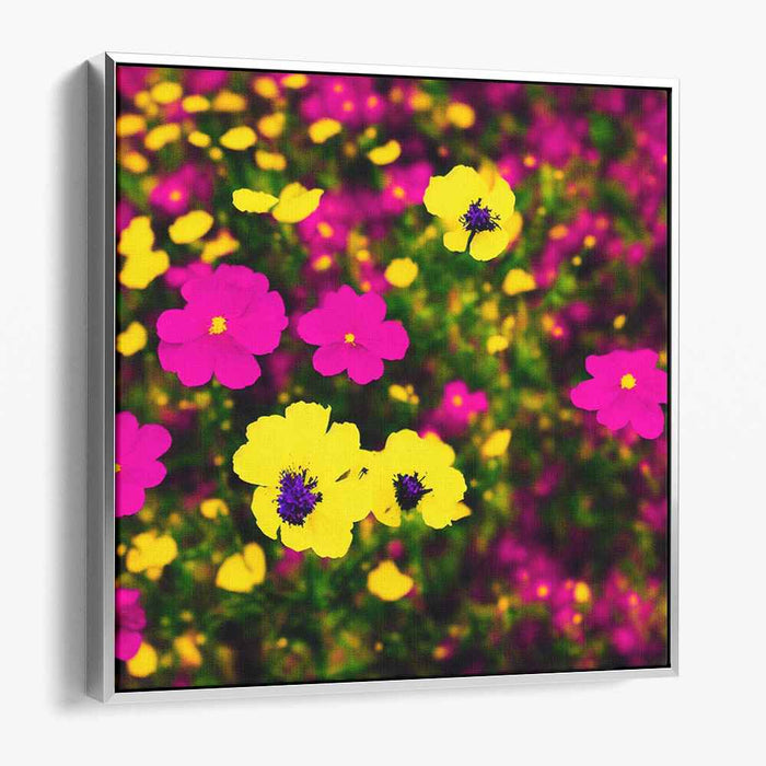 Sunlit Petals Dance Wildly: Vibrant Yellow and Magenta Blossoms Canvas Art Print