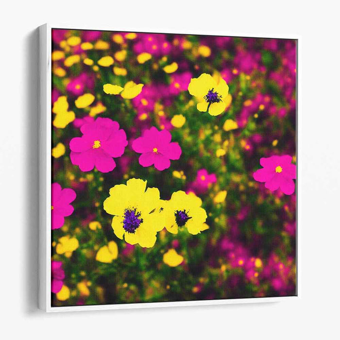 Sunlit Petals Dance Wildly: Vibrant Yellow and Magenta Blossoms Canvas Art Print