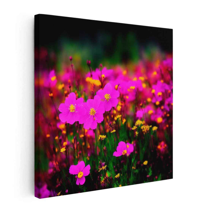 Magenta Blooms Essence: Vivid Magenta Floral Canvas Art Print