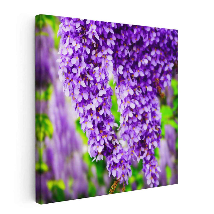 Melody of Blooms: A Floral Symphony Canvas Art Print