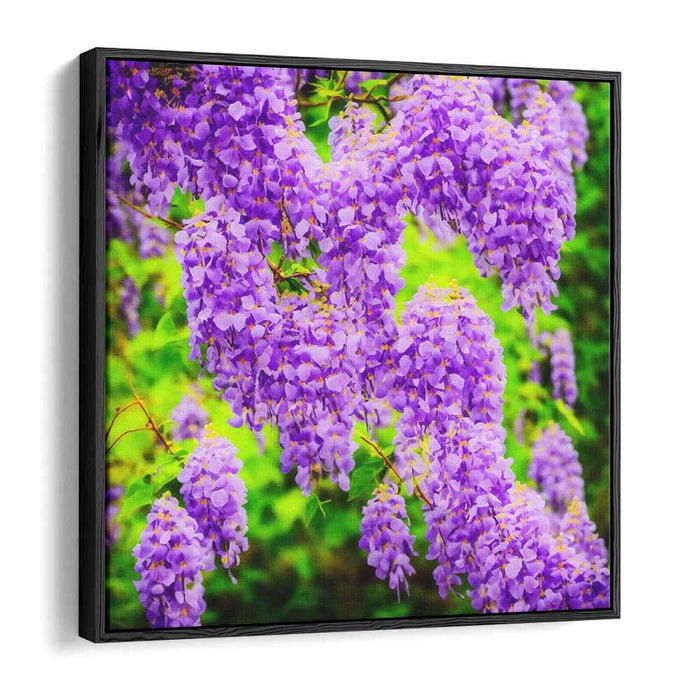 Violet Whispers Dance Paint: Wisteria in Full Bloom Canvas Art Print