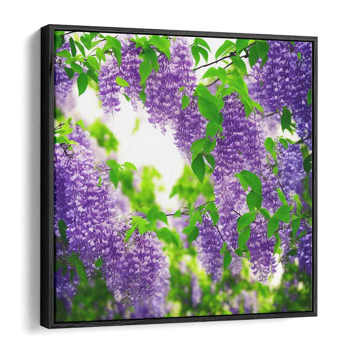 Ink Drawing Wisteria #004