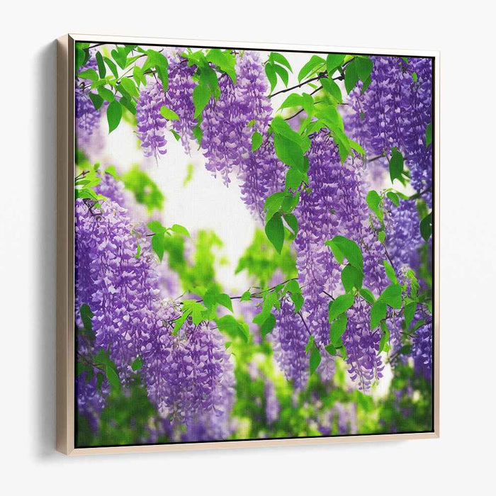 Ink Drawing Wisteria #004