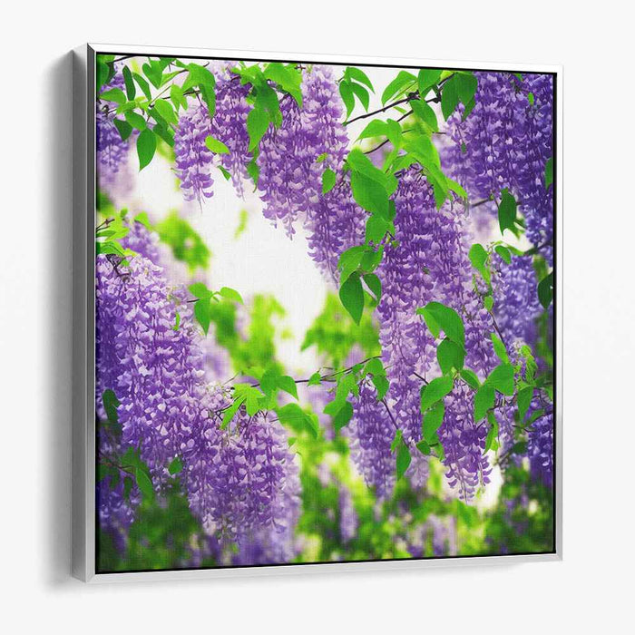 Ink Drawing Wisteria #004