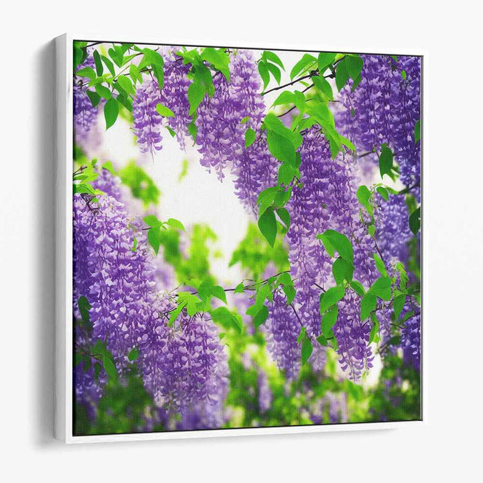 Ink Drawing Wisteria #004