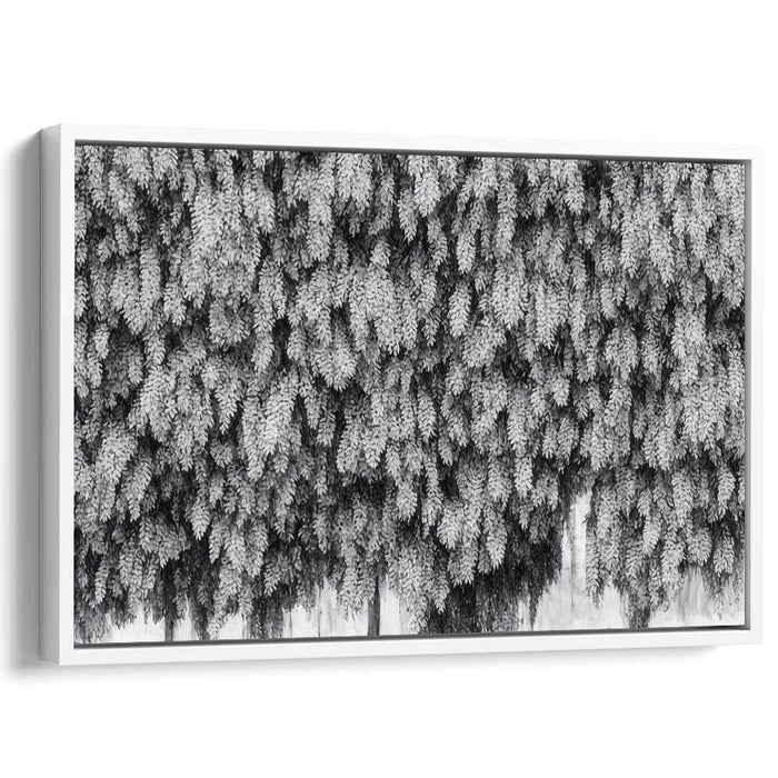 Leafy Overture: Monochrome Foliage Realism Canvas Art Print