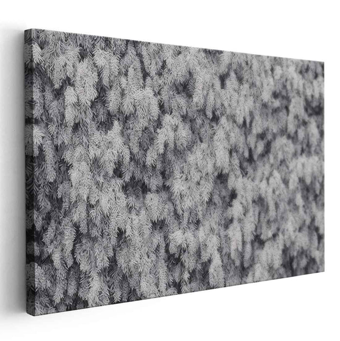 Ink Drawing Wisteria #102