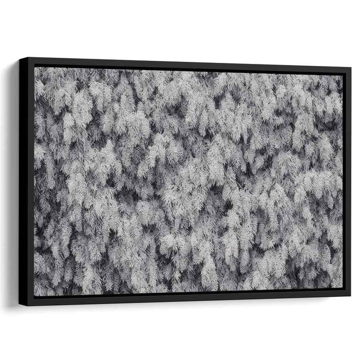 Ink Drawing Wisteria #102