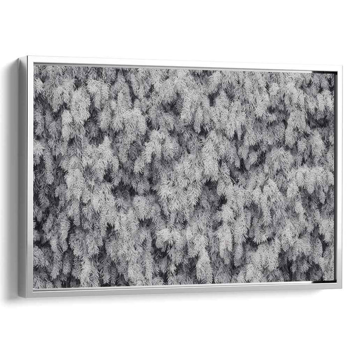 Ink Drawing Wisteria #102