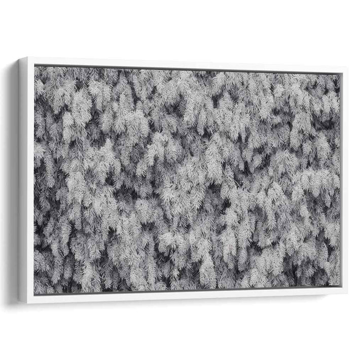 Ink Drawing Wisteria #102