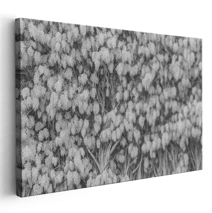Leaf Veins Harmony: Monochromatic Leafy Tapestry Canvas Art Print