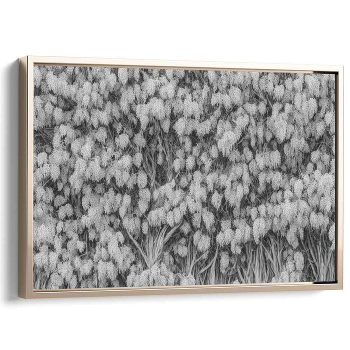 Leaf Veins Harmony: Monochromatic Leafy Tapestry Canvas Art Print