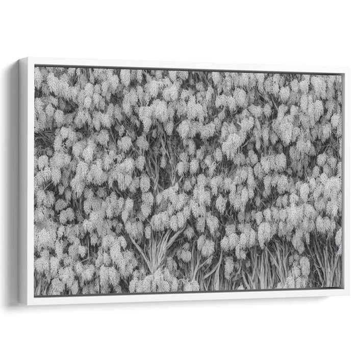 Leaf Veins Harmony: Monochromatic Leafy Tapestry Canvas Art Print