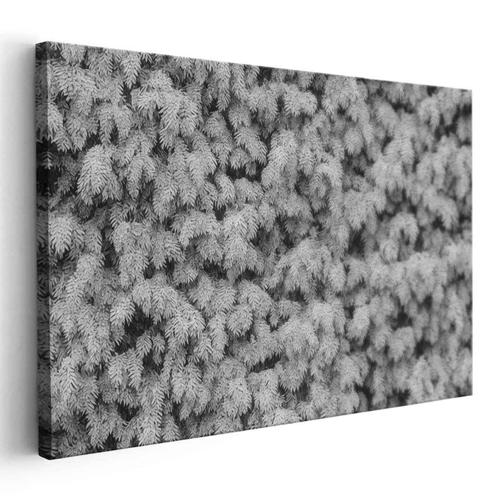 Ink Drawing Wisteria #105