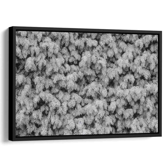 Ink Drawing Wisteria #105