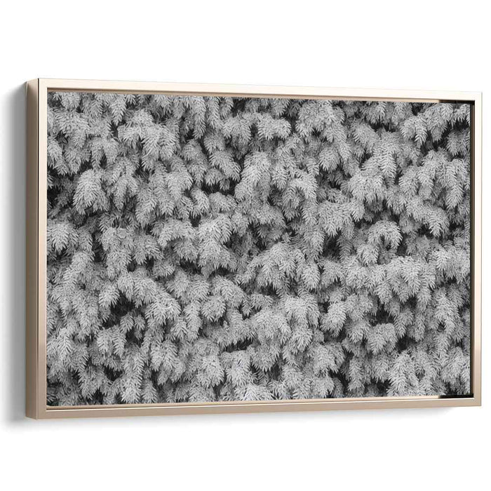 Ink Drawing Wisteria #105