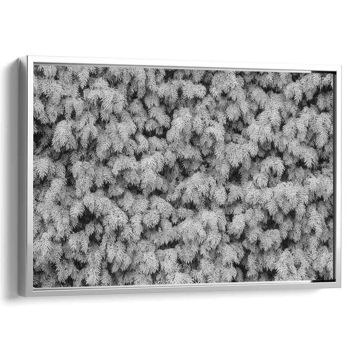 Ink Drawing Wisteria #105