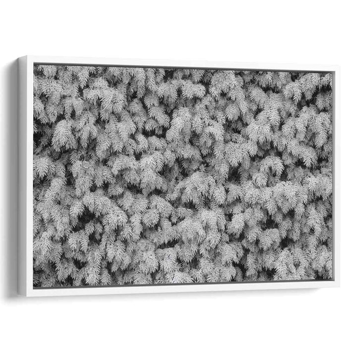 Ink Drawing Wisteria #105