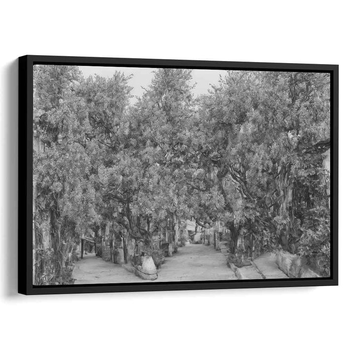 Shaded Pathways: Monochromatic Tree-Lined Walkway Canvas Art Print