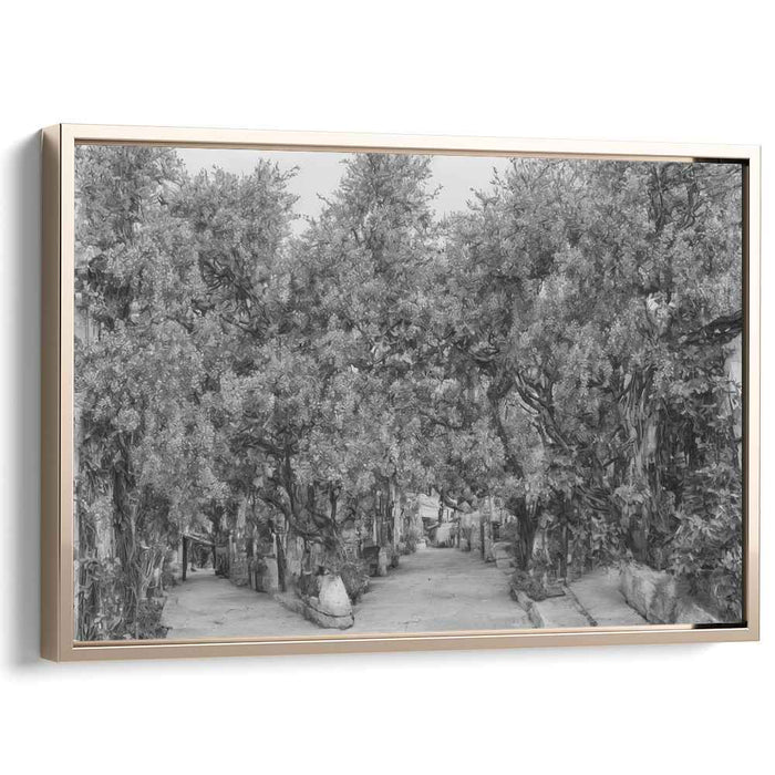 Shaded Pathways: Monochromatic Tree-Lined Walkway Canvas Art Print