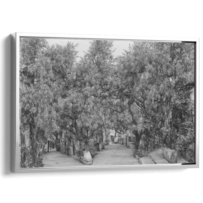 Shaded Pathways: Monochromatic Tree-Lined Walkway Canvas Art Print
