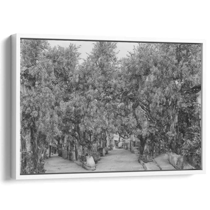 Shaded Pathways: Monochromatic Tree-Lined Walkway Canvas Art Print