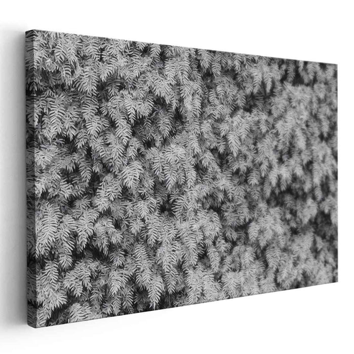 Eternal Forest Whisper: Timeless Pine Needles in Black and White Canvas Art Print