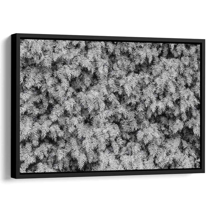 Eternal Forest Whisper: Timeless Pine Needles in Black and White Canvas Art Print