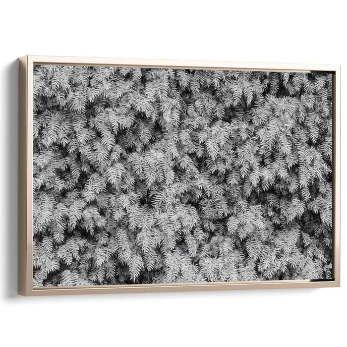 Eternal Forest Whisper: Timeless Pine Needles in Black and White Canvas Art Print