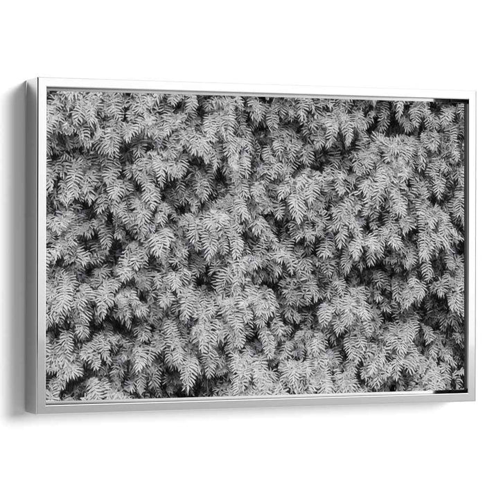 Eternal Forest Whisper: Timeless Pine Needles in Black and White Canvas Art Print