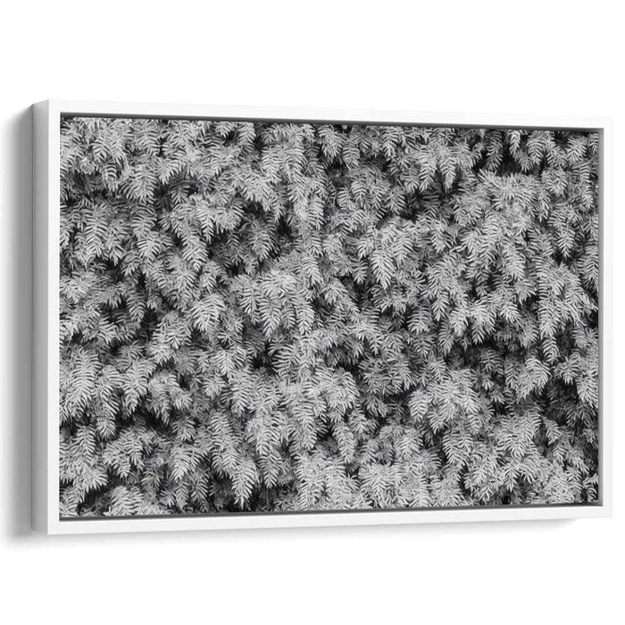 Eternal Forest Whisper: Timeless Pine Needles in Black and White Canvas Art Print