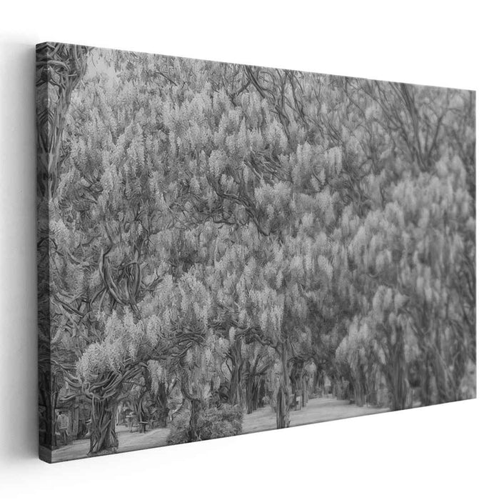 Serene Wisteria Forest: Monochromatic Nature Canvas Art Print