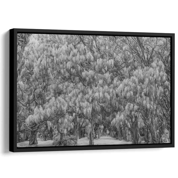 Serene Wisteria Forest: Monochromatic Nature Canvas Art Print