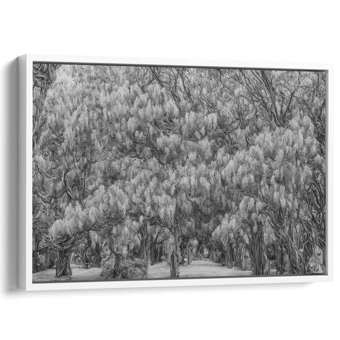 Serene Wisteria Forest: Monochromatic Nature Canvas Art Print