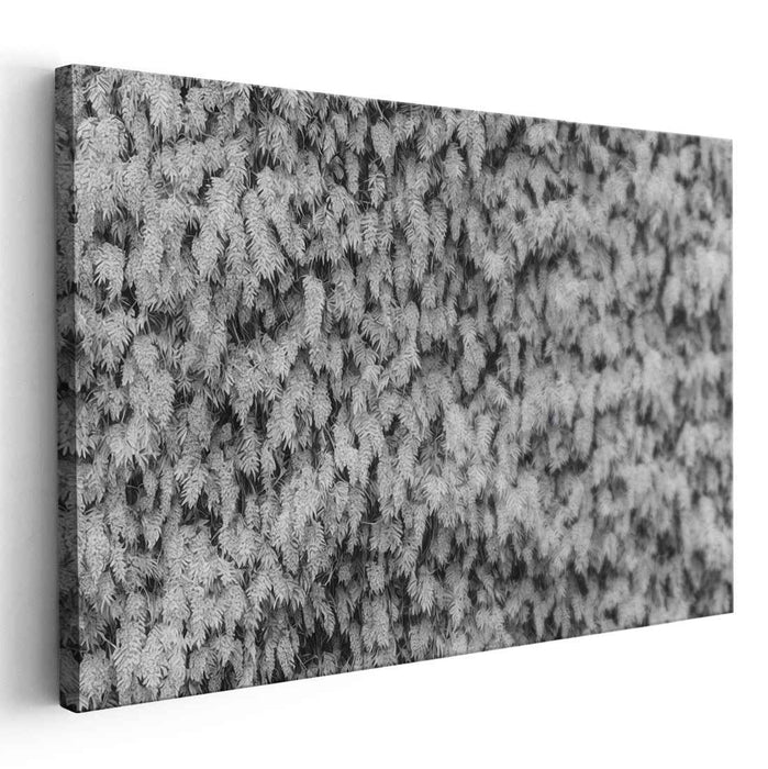 Silent Symphony of Nature: Black and White Nature Photography Print