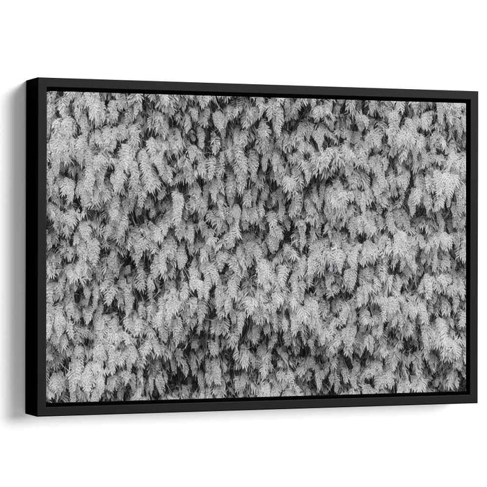 Silent Symphony of Nature: Black and White Nature Photography Print