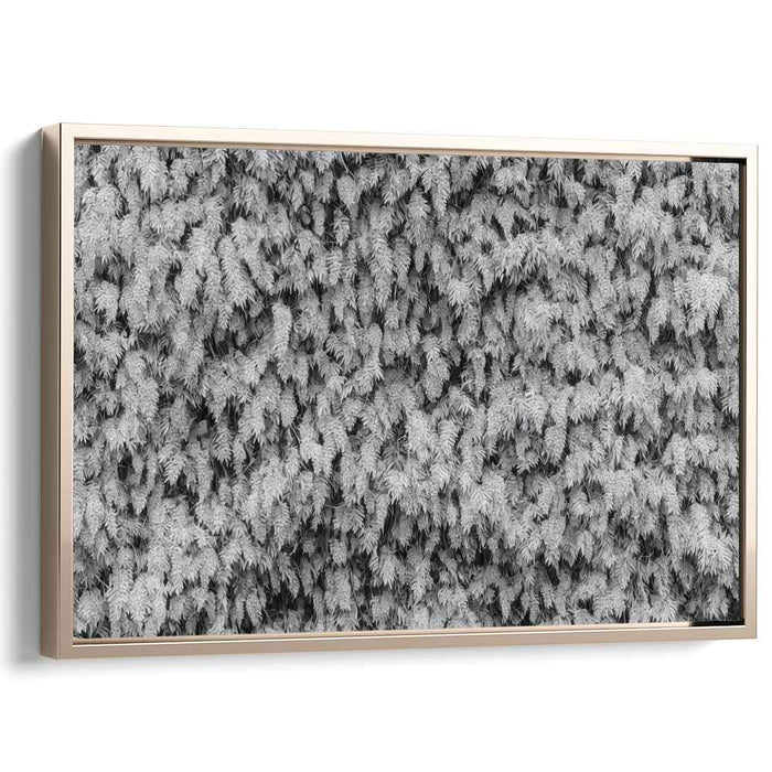 Silent Symphony of Nature: Black and White Nature Photography Print