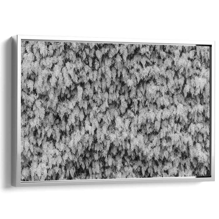 Silent Symphony of Nature: Black and White Nature Photography Print