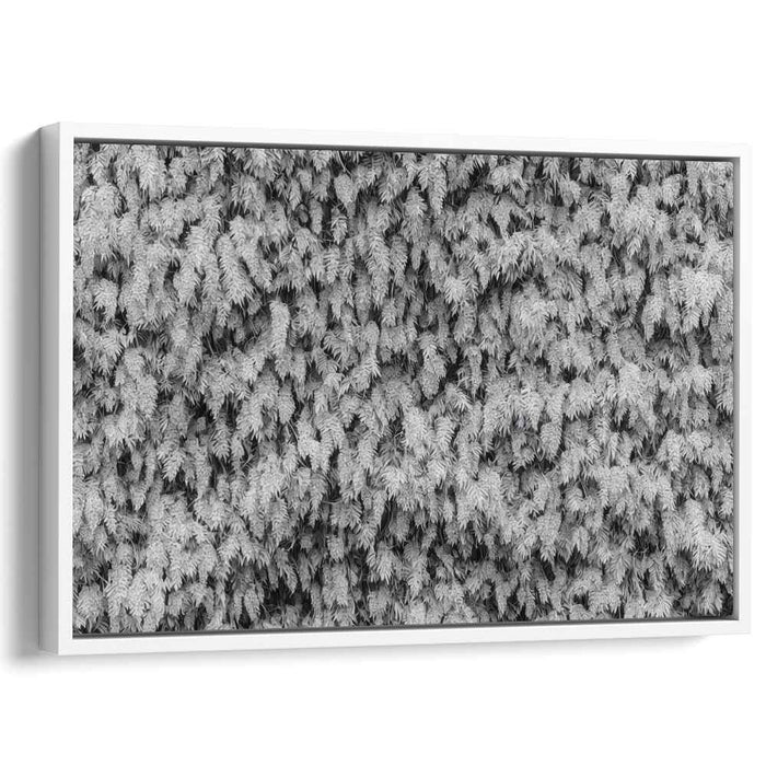 Silent Symphony of Nature: Black and White Nature Photography Print