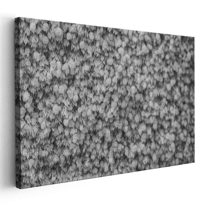 Monochrome Textured Elegance: Abstract Leaf Patterns in Black and White