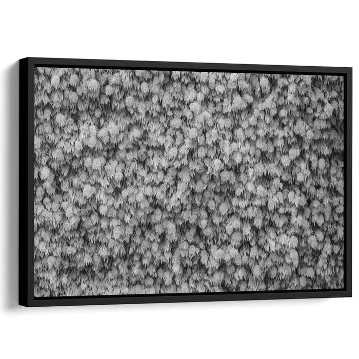 Monochrome Textured Elegance: Abstract Leaf Patterns in Black and White