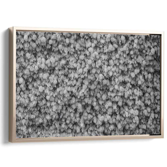 Monochrome Textured Elegance: Abstract Leaf Patterns in Black and White