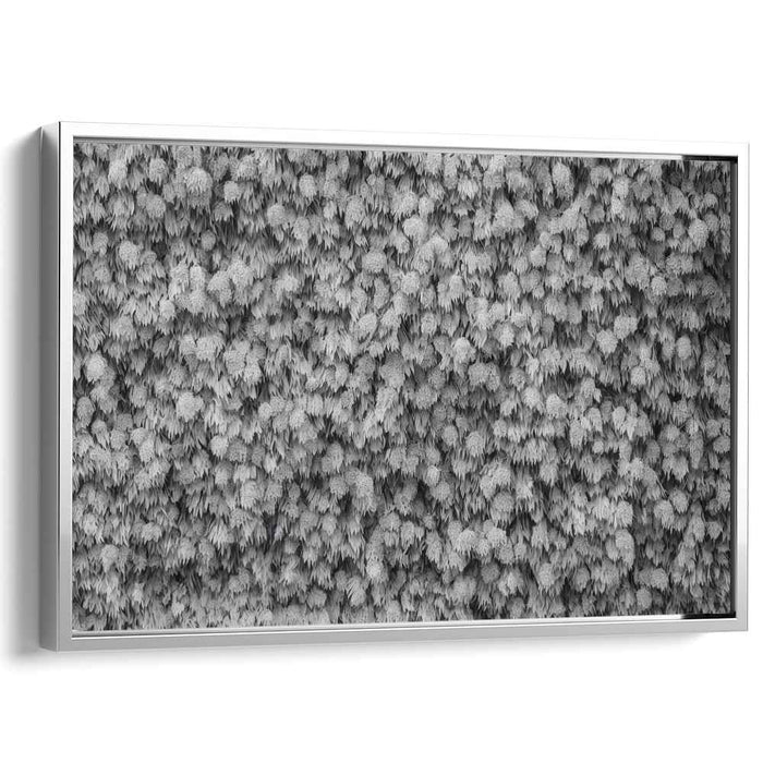 Monochrome Textured Elegance: Abstract Leaf Patterns in Black and White