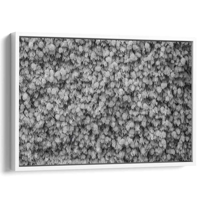 Monochrome Textured Elegance: Abstract Leaf Patterns in Black and White